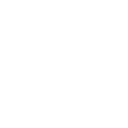 3z logo